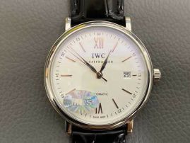 Picture of IWC Watch _SKU1763774004551532
